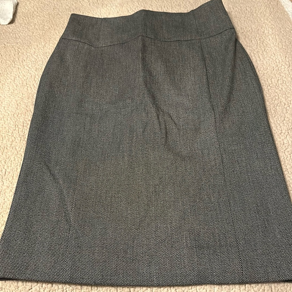 Express size 10 skirt new with tag